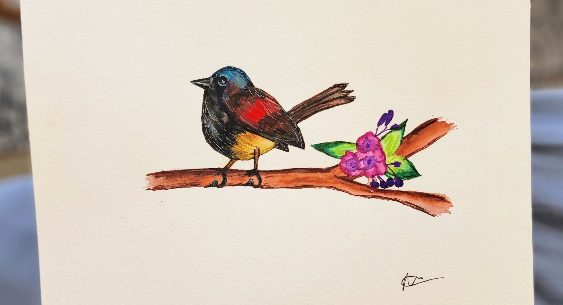 Australian Fairywren Watercolor - Thrice Exceptional